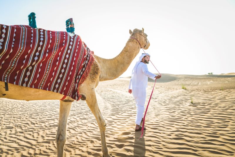 desert safari dubai