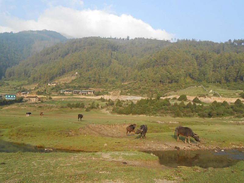 dhorpatan hunting reserve baglung district