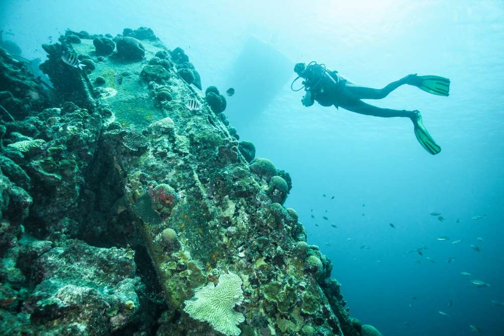 scuba diver examining underwater reef