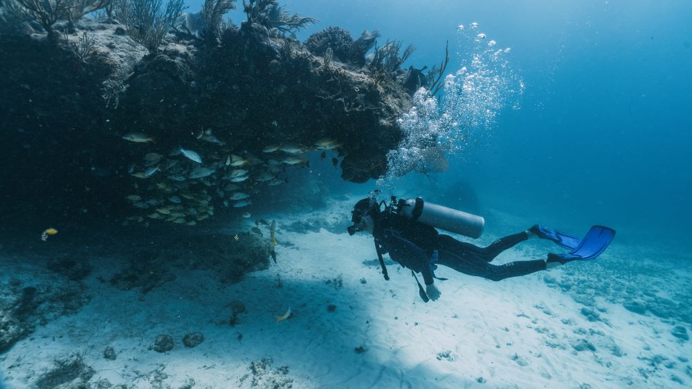 scuba diver looking inside a cavern