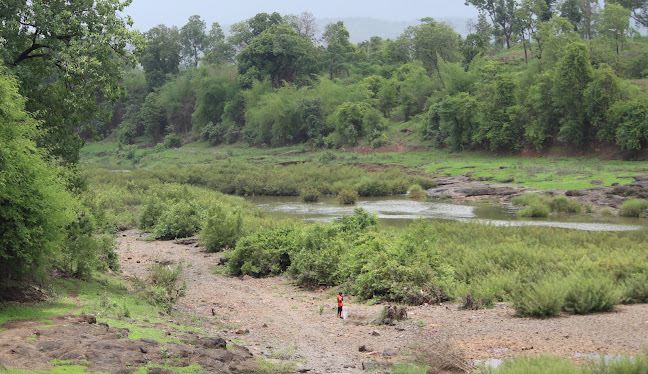 greenish view of dungarda