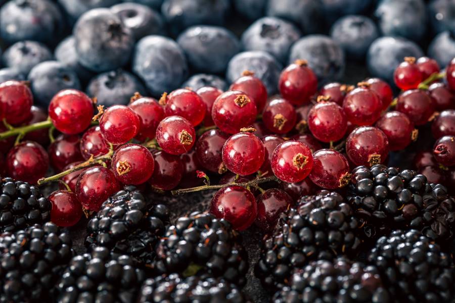 consume berries during rheumatoid arthritis infection