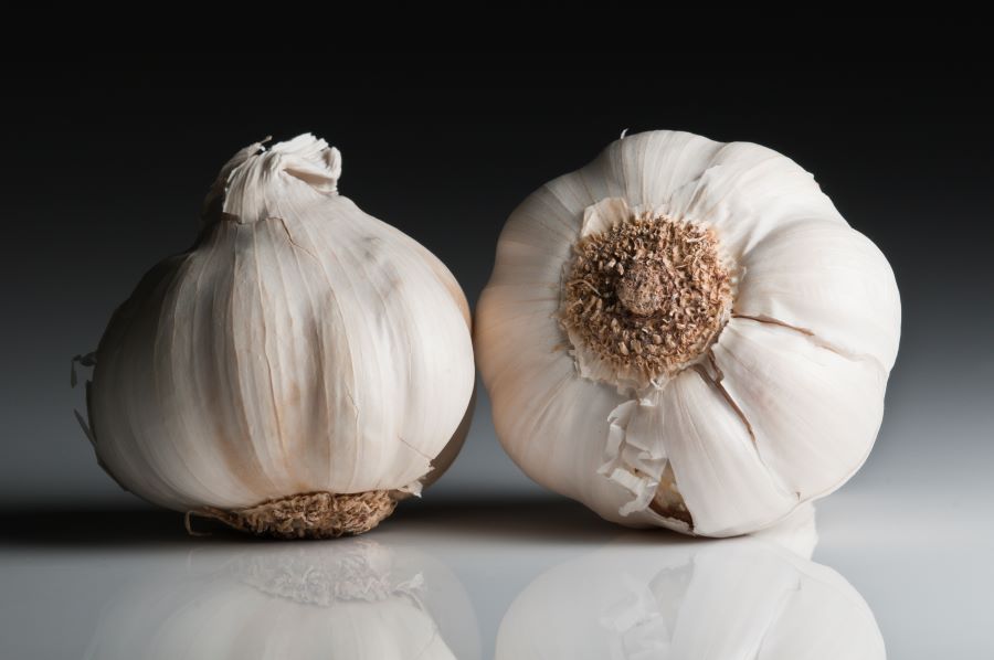 eat garlic during dialysis diet