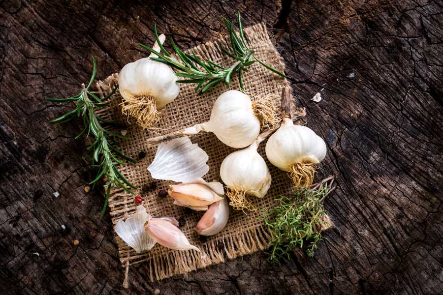 eat more garlic daily during sinus infection