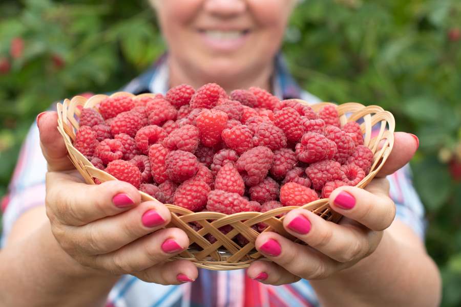 add more raspberries during constipation