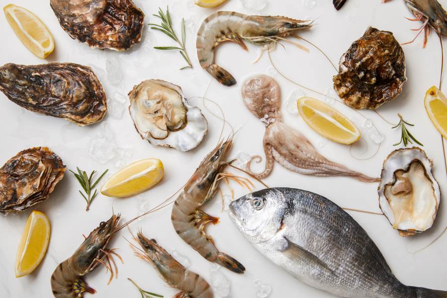 eat sea foods during sinus infection