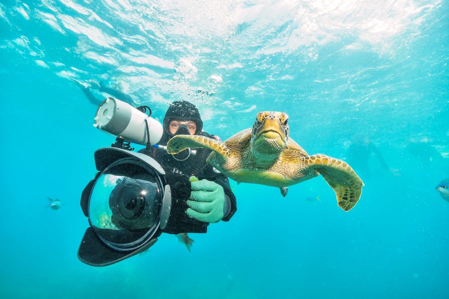 scuba diver with camera and tortoise