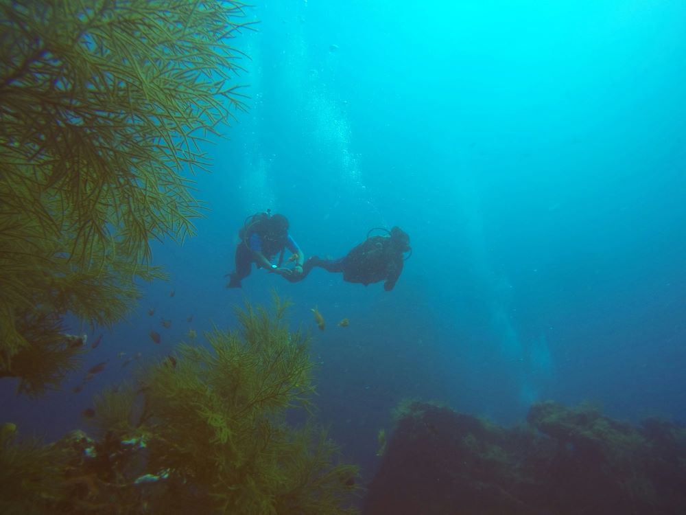 two scuba divers under water