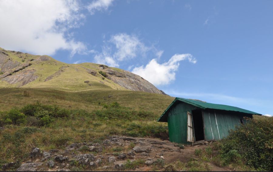 eravikulam national park in kerala