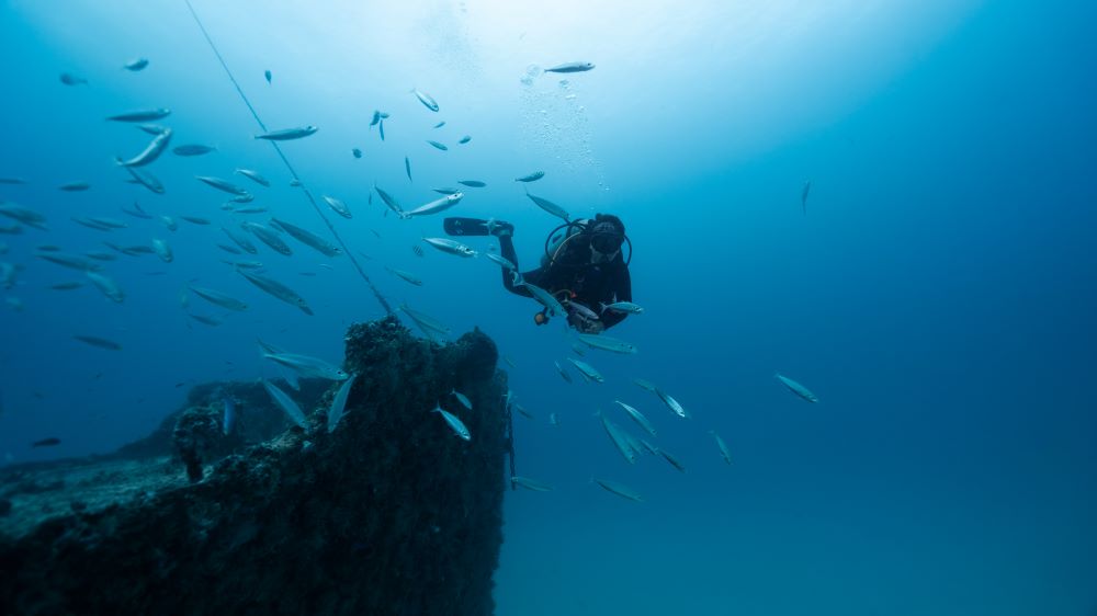 female scuba diver with sunken ship