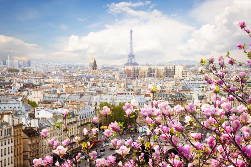 eiffel tower view with flower