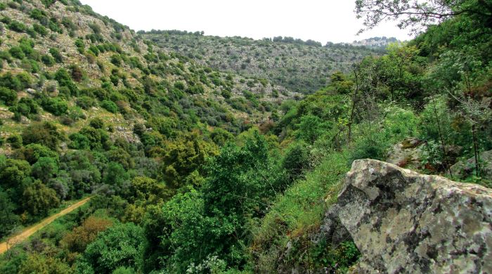 view of gandhamardan hills