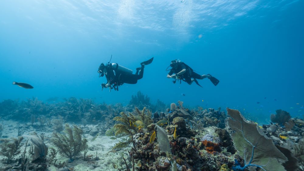 two scuba divers underwater