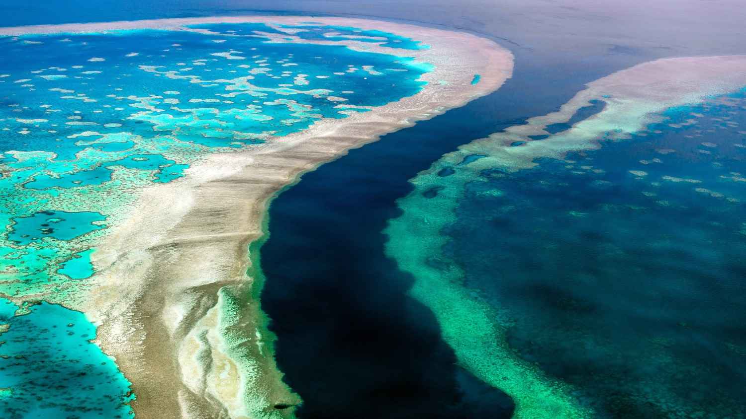 great barrier reef