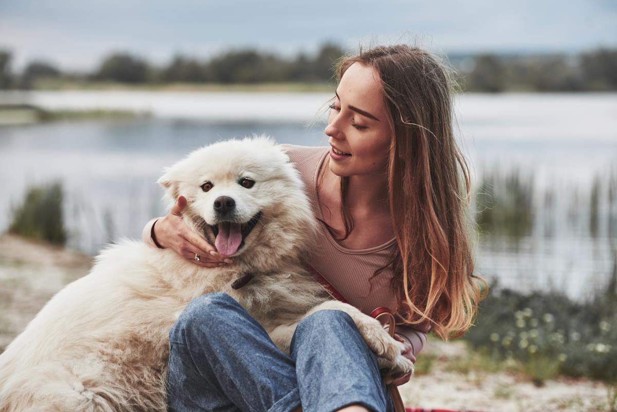 great pyrenees dog