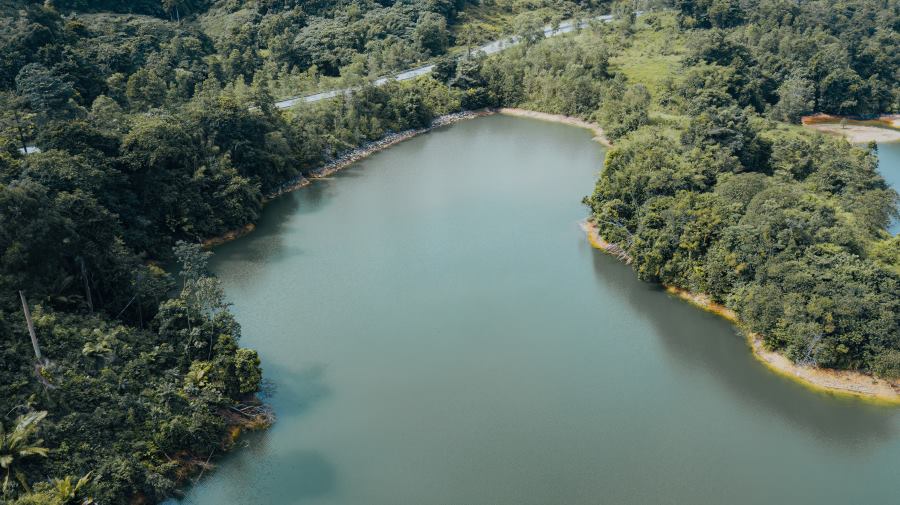 green lake and tropical trees in kuala