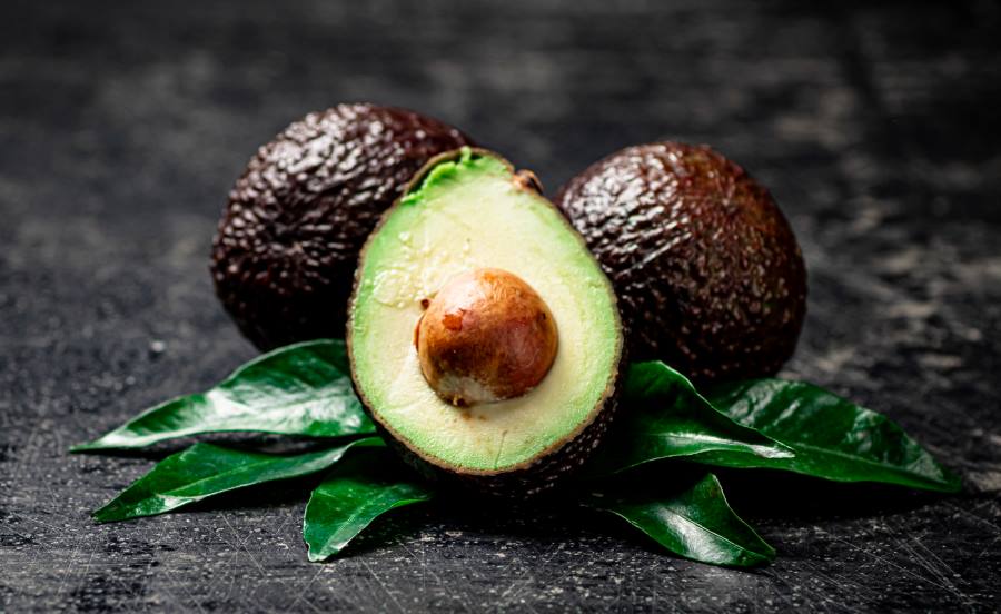 advantages of eating avocados daily