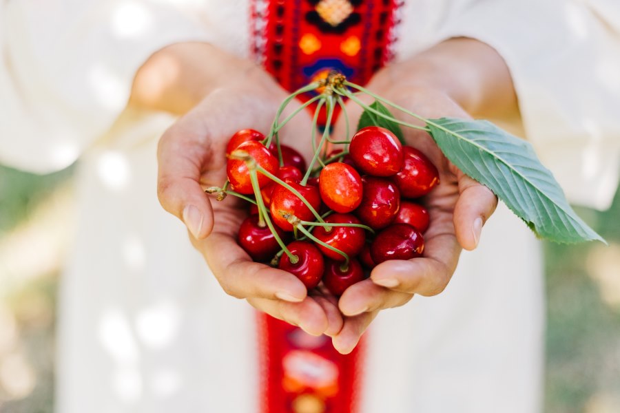 advantages of eating cherries daily