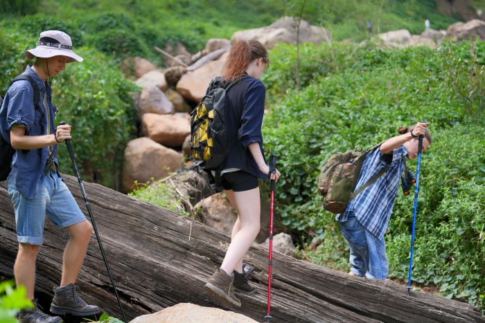 hikers walking with hiking sticks