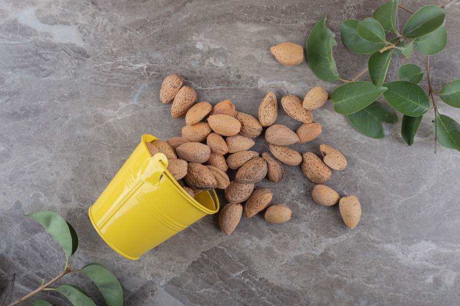 ways to add almonds in your daily diet plan