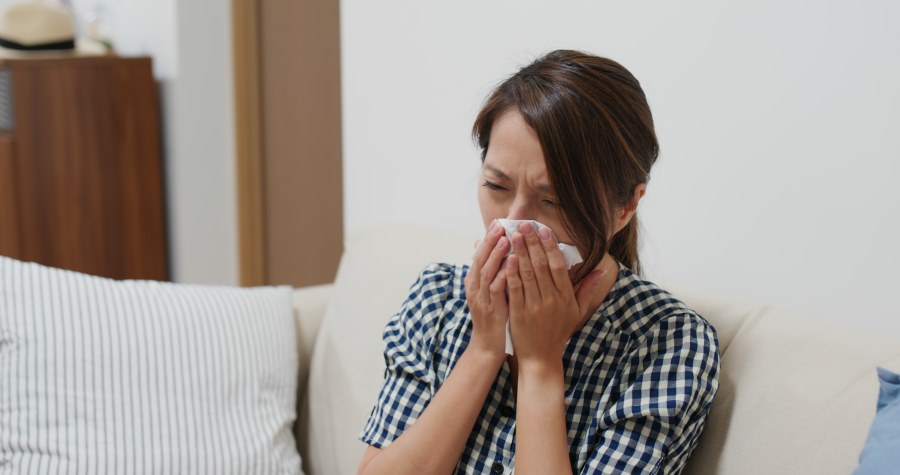 influenza viral allergy