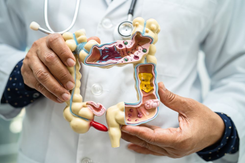 intestine-appendix-and-digestive-system-doctor