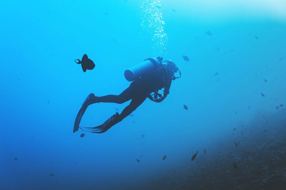 scuba diver in the sea