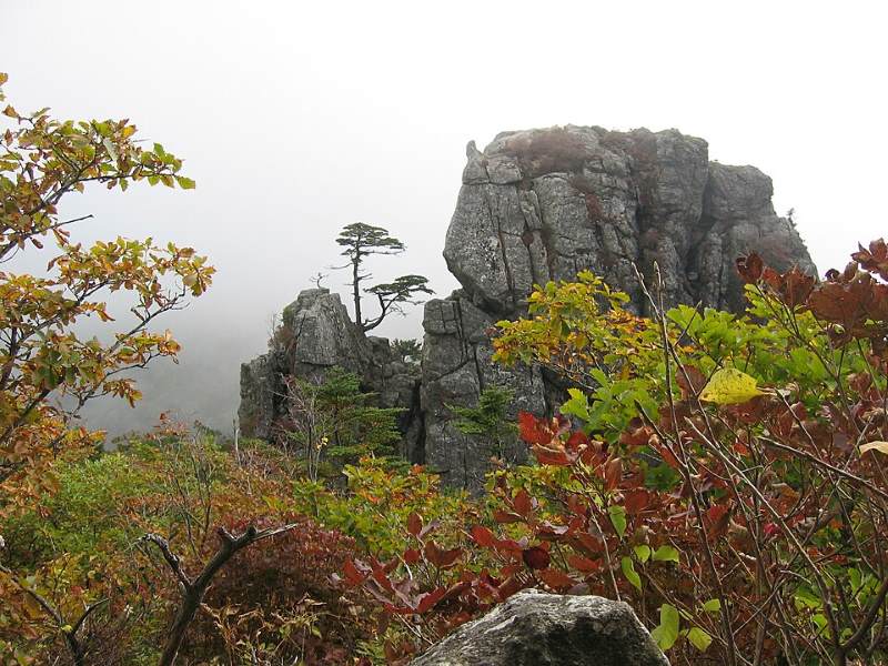 jirisan-national-park-gyeongsangnam-do