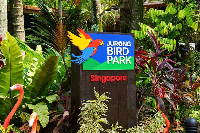 jurong bird park jurong hill