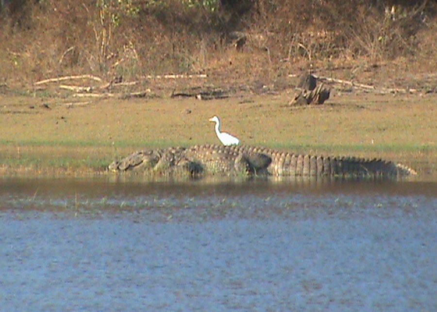 kabini