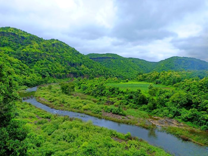 greenish view of kalakund