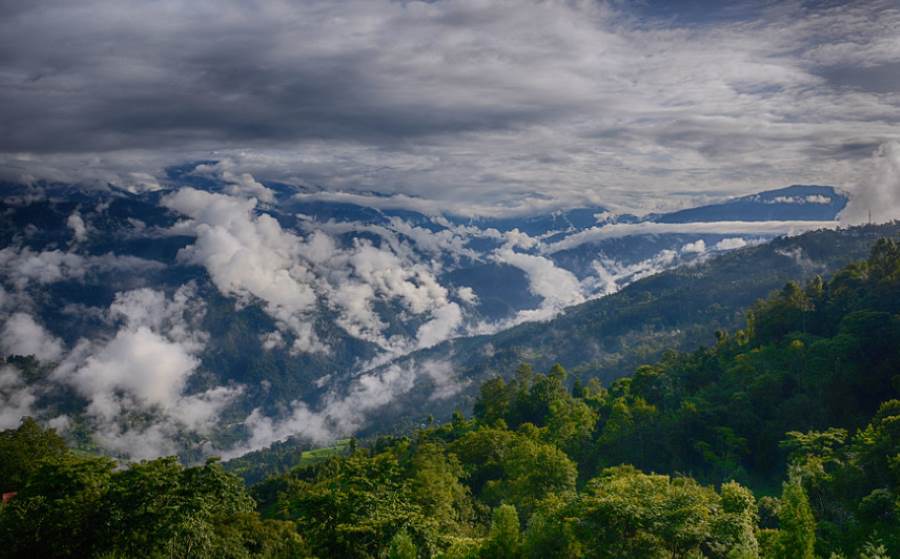 kaluk in sikkim