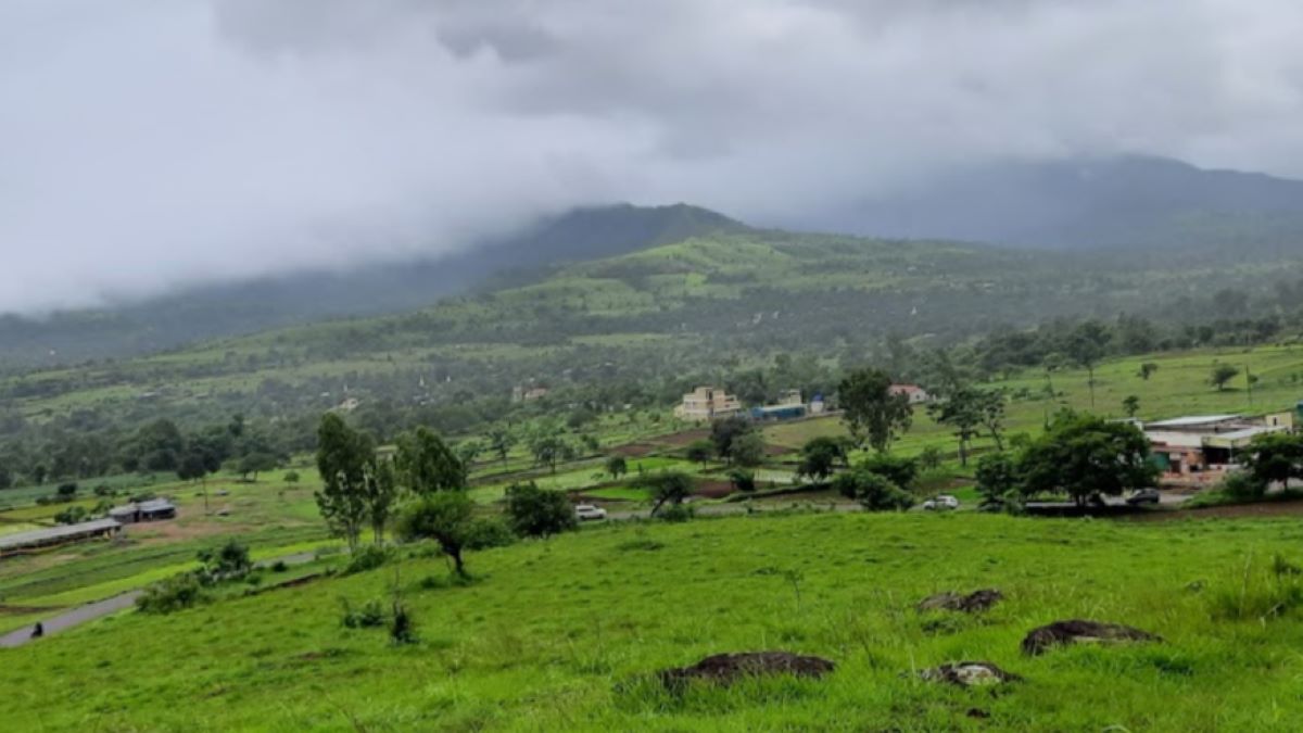 karanjwa in green