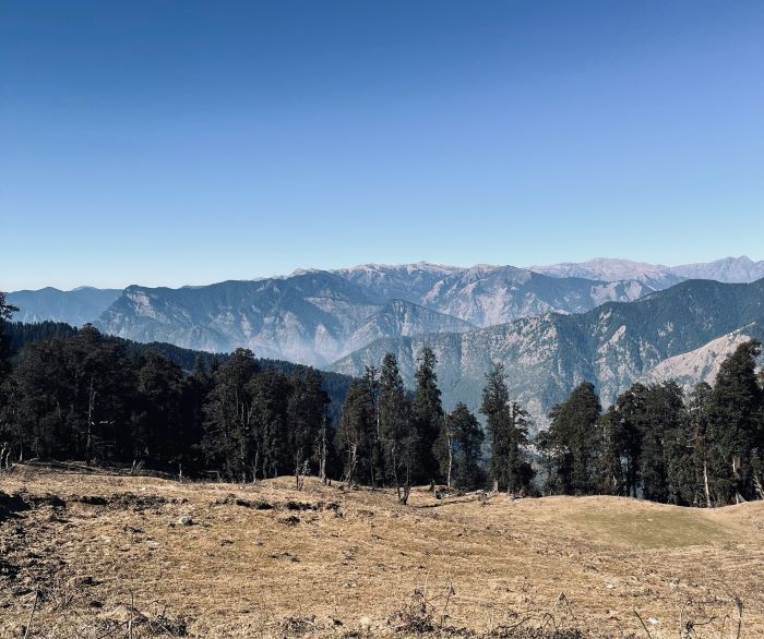 beautiful view of mountain from land