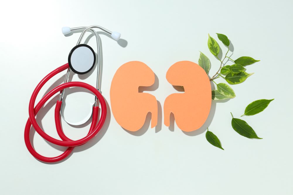 kidneys-and-stethoscope