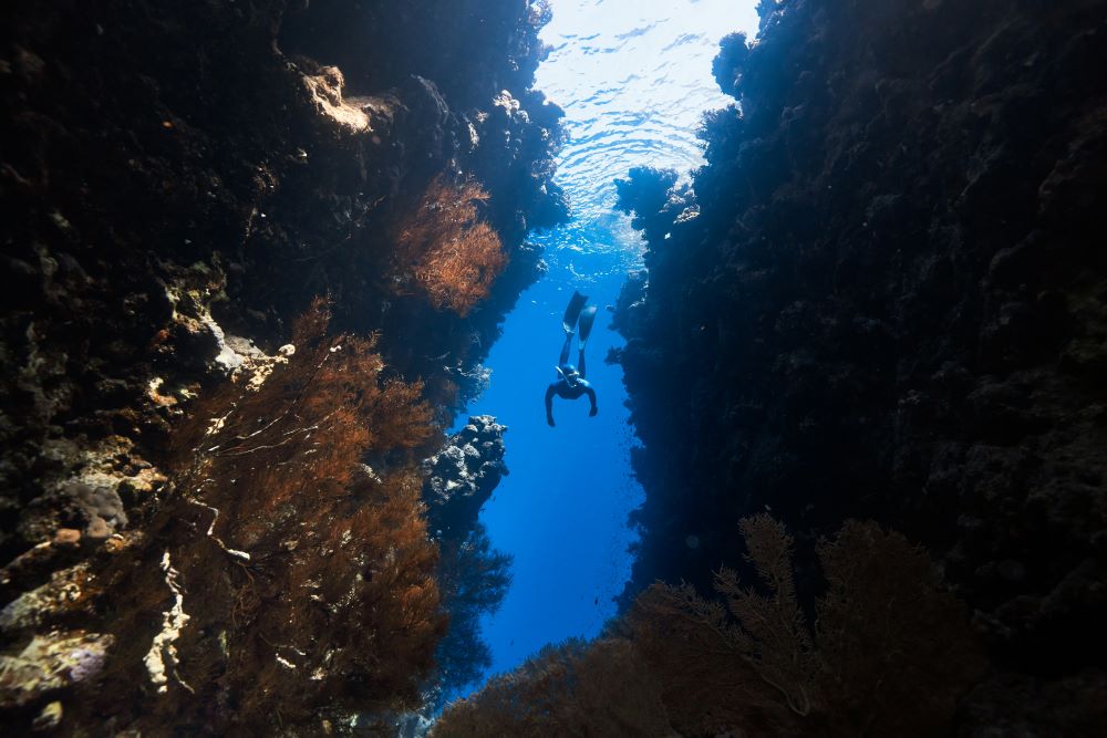 scuba diver swimming between the rocks