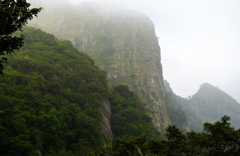 kolli hills covered in mist