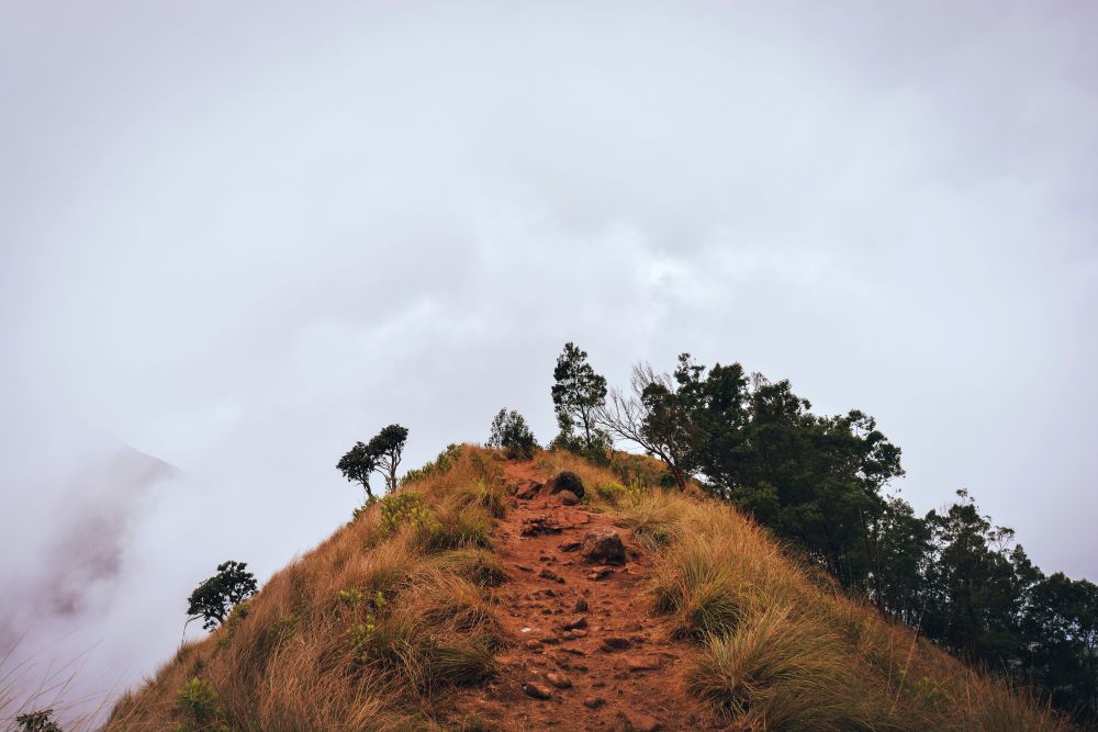 top view from kolukkumalai peak