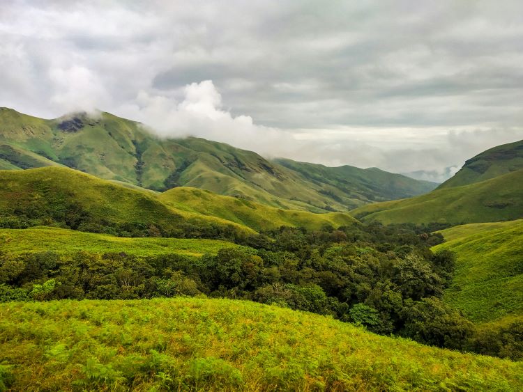 green hills in kudremukh