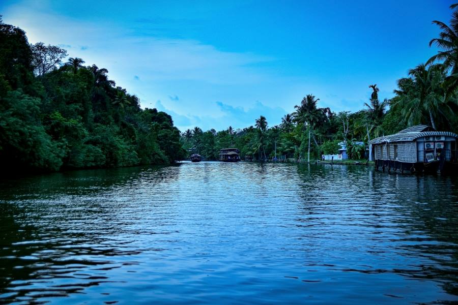 an amazing view of kumarakom backwaters