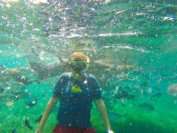 scuba diver and background full of fishes