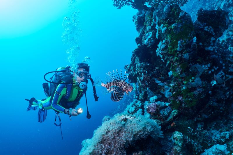 lion fish and scuba diver in andaman sea