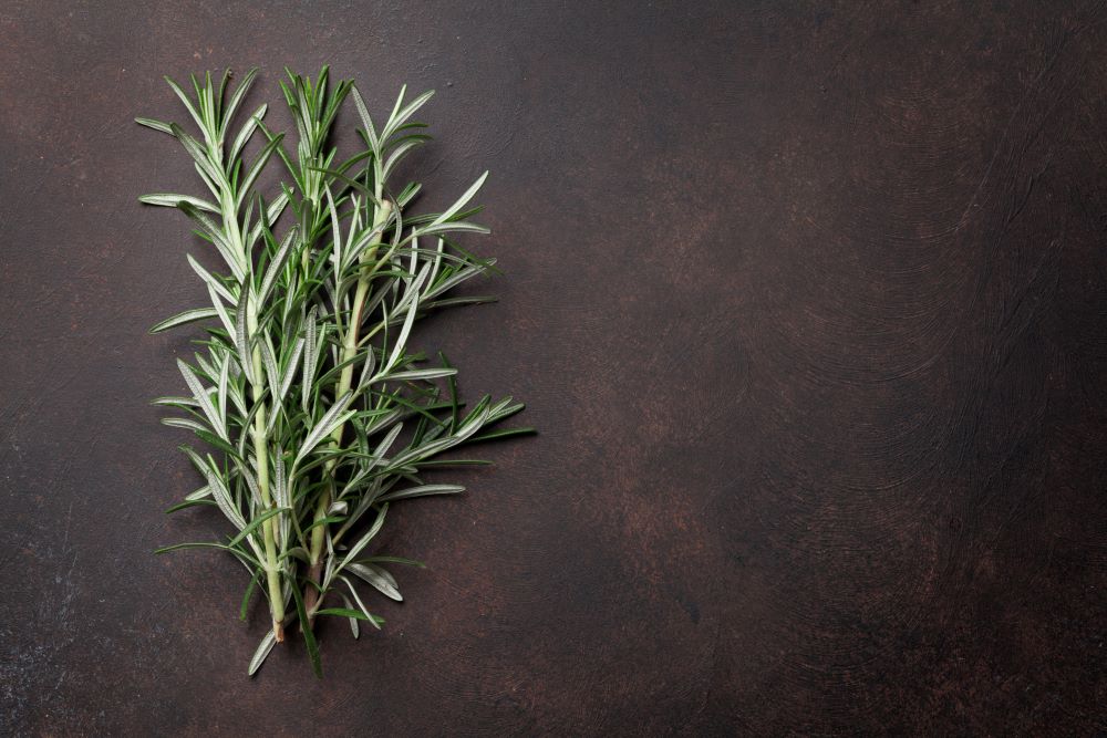 Lucky Rosemary Scam