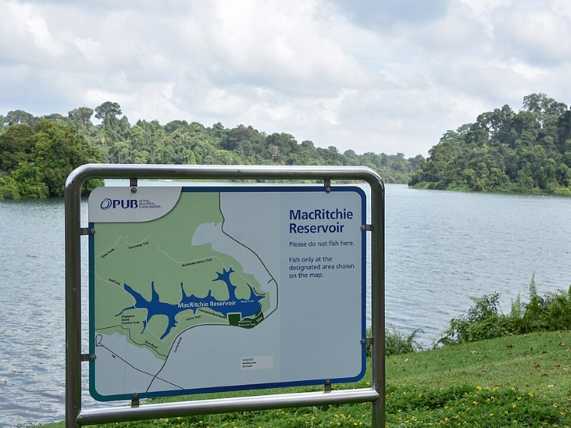 macritchie reservoir venus drive