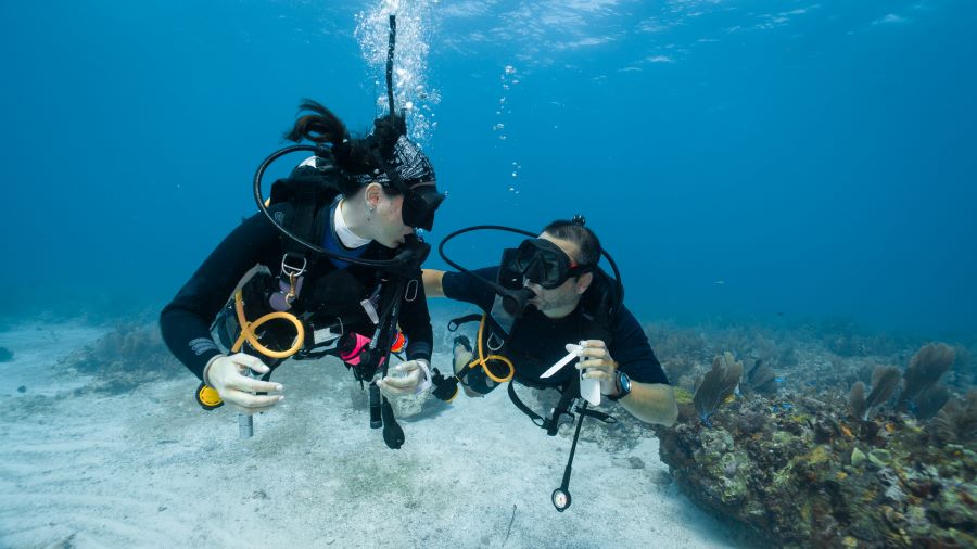 couple scuba divers at underwater