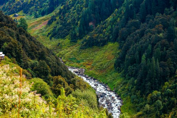 small lake flowing in malana village