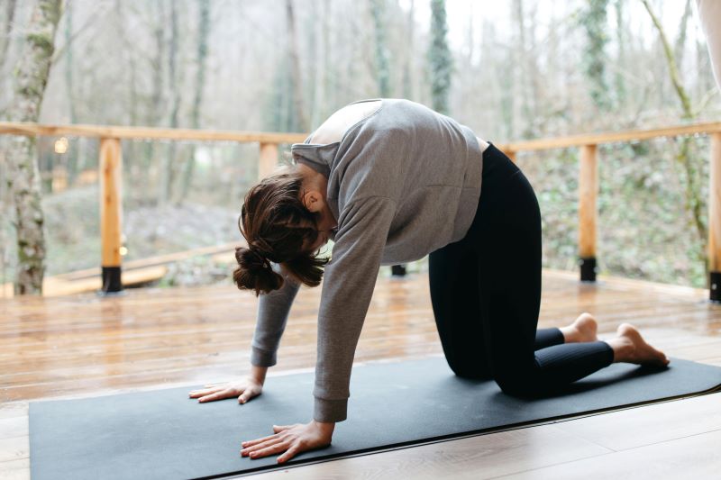 Marjaryasana or Cat-Cow Pose