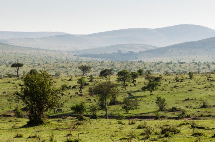 view of masai national park