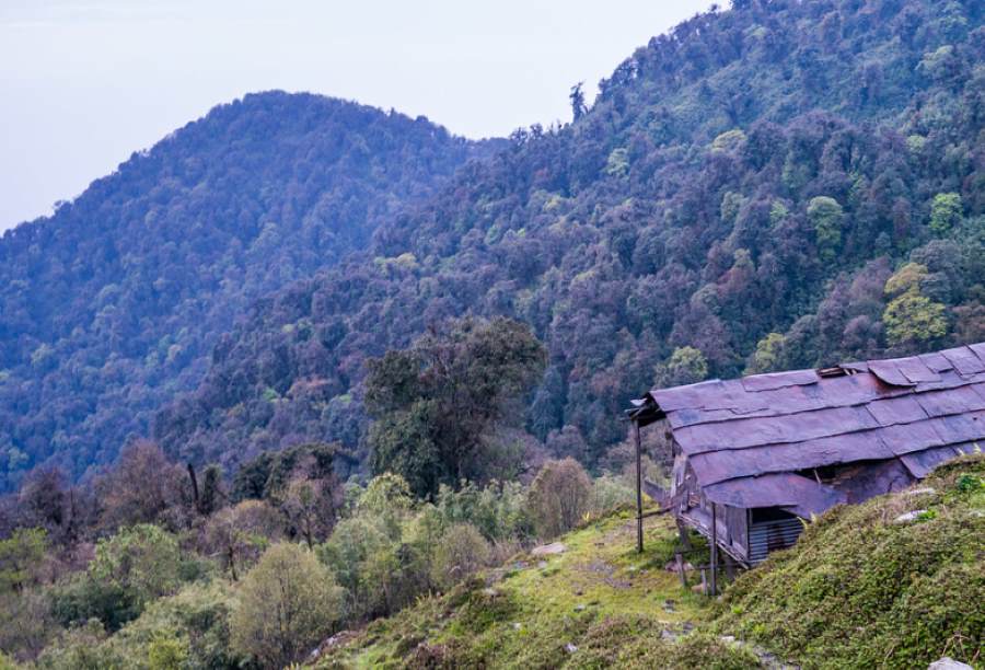 mayodia in arunachal pradesh