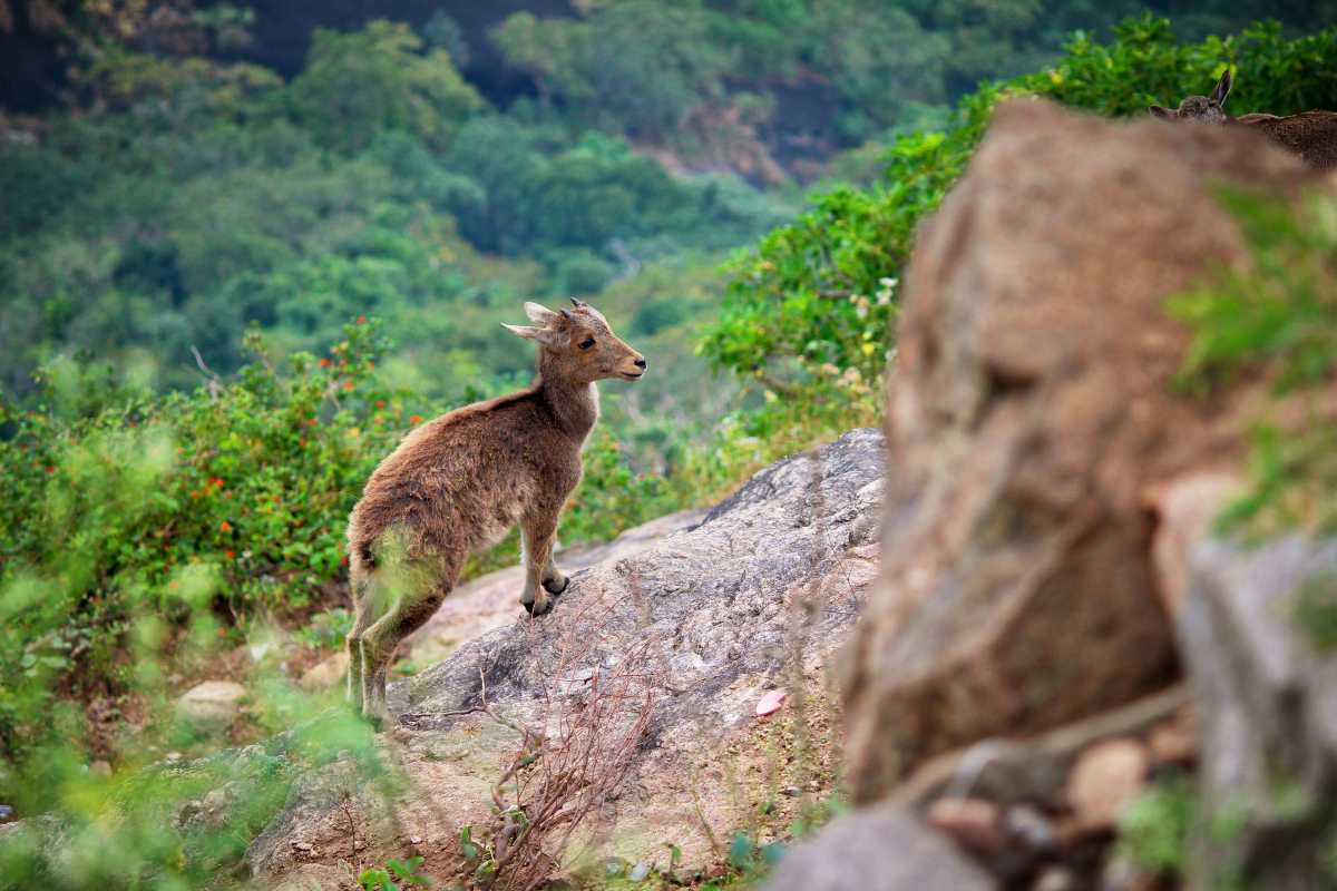 road trip places from coimbatore